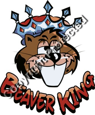 Beaver King